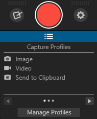 SnagIt Screenshot